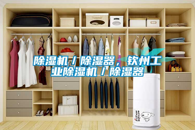 除濕機(jī)／除濕器，欽州工業(yè)除濕機(jī)／除濕器