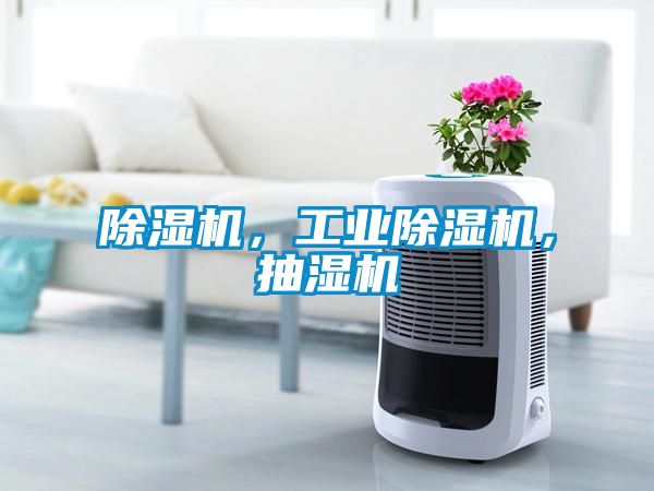 除濕機(jī)，工業(yè)除濕機(jī)，抽濕機(jī)