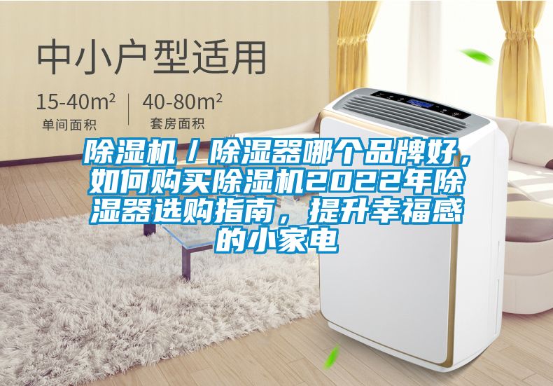 除濕機(jī)／除濕器哪個品牌好，如何購買除濕機(jī)2022年除濕器選購指南，提升幸福感的小家電