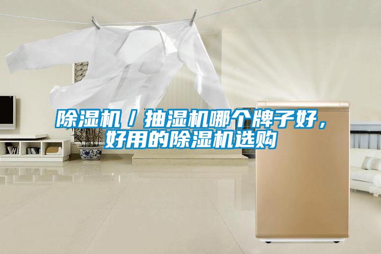 除濕機／抽濕機哪個牌子好，好用的除濕機選購