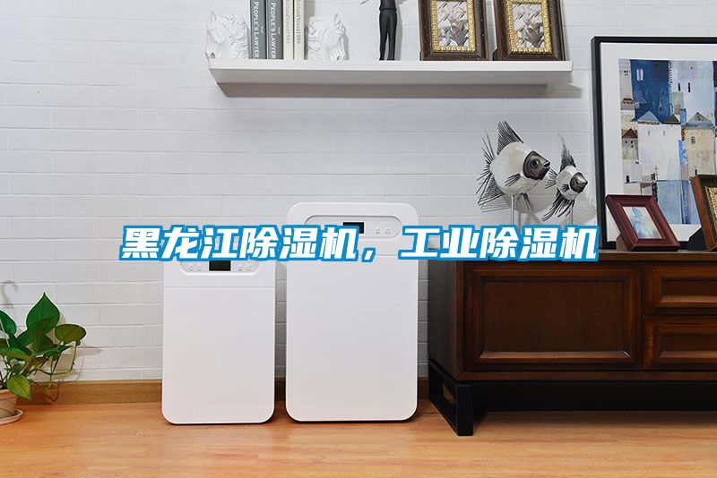 黑龍江除濕機(jī)，工業(yè)除濕機(jī)