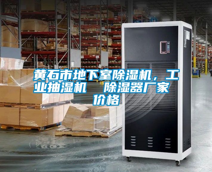 黃石市地下室除濕機，工業(yè)抽濕機  除濕器廠家 價格