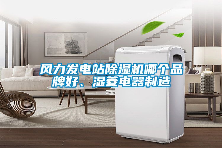 風(fēng)力發(fā)電站除濕機(jī)哪個(gè)品牌好、濕菱電器制造