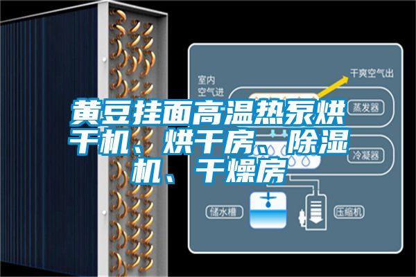 黃豆掛面高溫?zé)岜煤娓蓹C(jī)、烘干房、除濕機(jī)、干燥房
