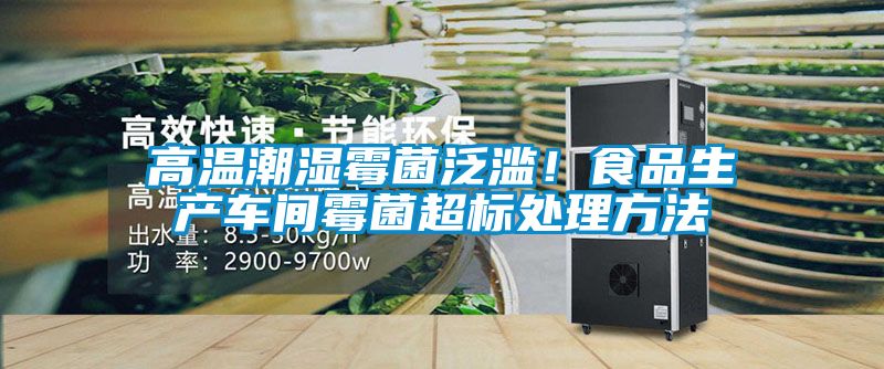高溫潮濕霉菌泛濫！食品生產(chǎn)車間霉菌超標處理方法