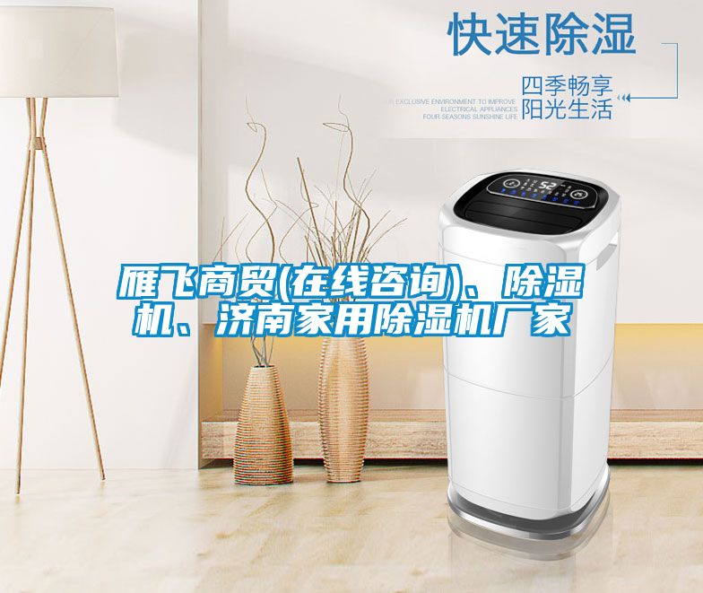 雁飛商貿(mào)(在線咨詢)、除濕機(jī)、濟(jì)南家用除濕機(jī)廠家
