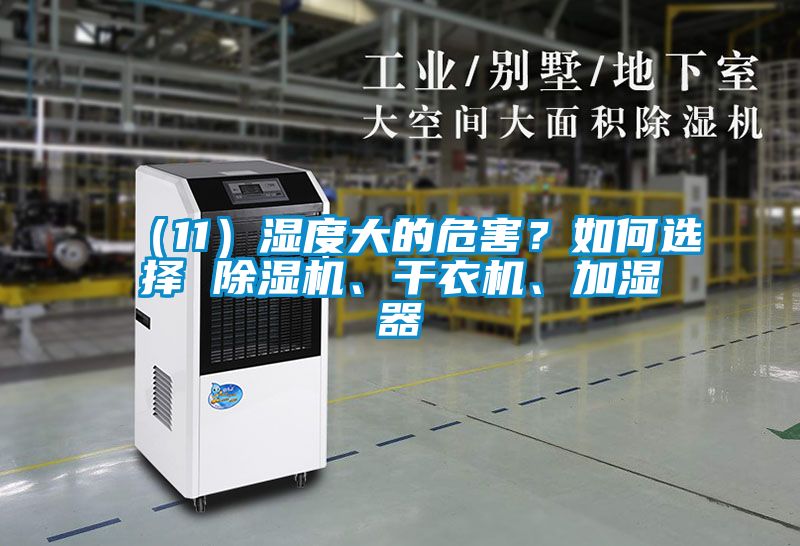 （11）濕度大的危害？如何選擇 除濕機(jī)、干衣機(jī)、加濕器