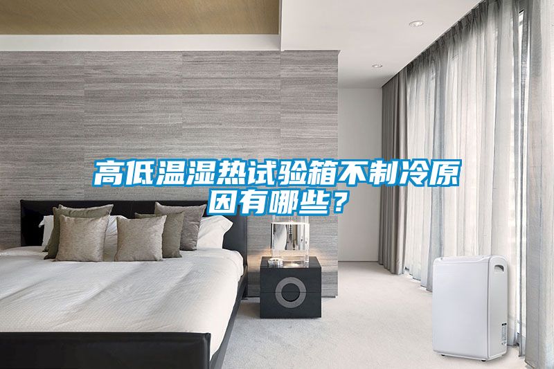 高低溫濕熱試驗(yàn)箱不制冷原因有哪些？