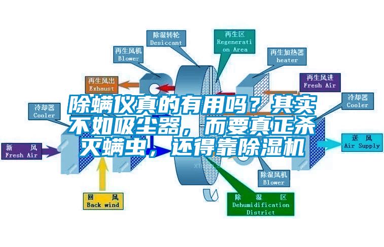 除螨儀真的有用嗎？其實不如吸塵器，而要真正殺滅螨蟲，還得靠除濕機
